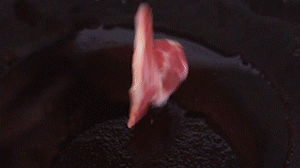 鍋中倒入橄欖油燒熱，放入淡火腿小火煸炒至打卷狀態(tài)。